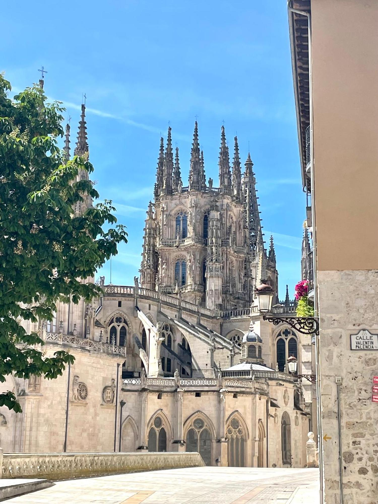 Moderno Y Acogedor En La Catedral *